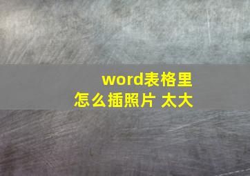 word表格里怎么插照片 太大